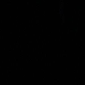 Meet your Posher, Ty